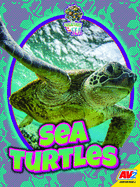 Sea Turtles