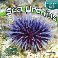 Sea Urchins