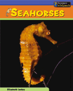 Seahorses