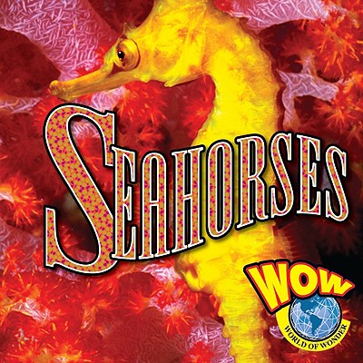Seahorses - Wearing, Judy