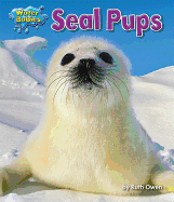 Seal Pups