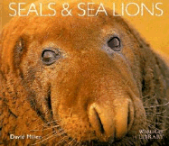 Seals and Sea Lions