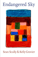 Sean Scully & Kelly Grovier: Endangered Sky