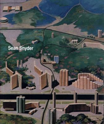 Sean Snyder - Birnbaum, Daniel (Text by), and Snyder, Sean, and Sheerin, Jerry (Text by)