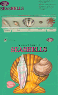 Seashells