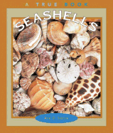 Seashells