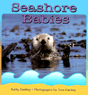 Seashore Babies