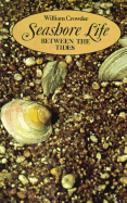 Seashore Life Between the Tides