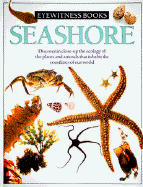 Seashore