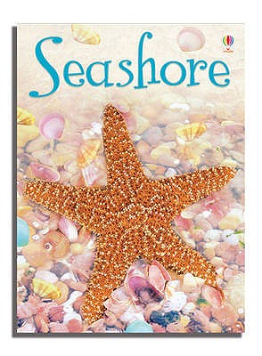 Seashore - Bowman, Lucy