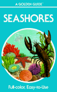 Seashores