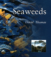 Seaweeds: Seaweeds