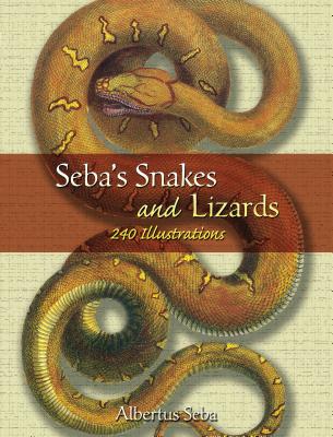 Seba's Snakes and Lizards: 240 Illustrations - Seba, Albertus