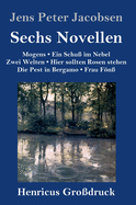 Sechs Novellen (Gro?druck)