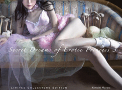 洋書 Secret Dreams of Erotic Princess 3 Secret Dreams of Erotic Princess 3 by Kenichi Murata (Photographer