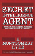 Secret Intelligence Agent