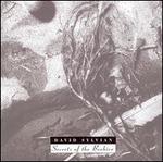 Secrets of the Beehive