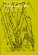 Sedges: Carex