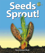 Seeds Sprout!