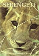 Serengeti Tanzania