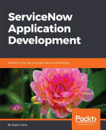 ServiceNow Application Development