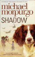 Shadow