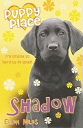 Shadow