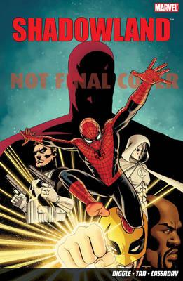Shadowland - Diggle, Andy, and Tan, Billy (Artist)
