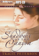 Shadows of the Canyon