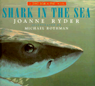 Shark in the Sea
