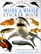 Shark & Whale