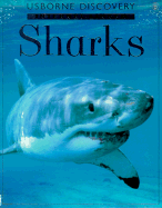 Sharks