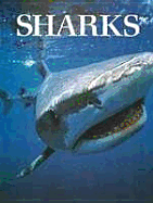 Sharks