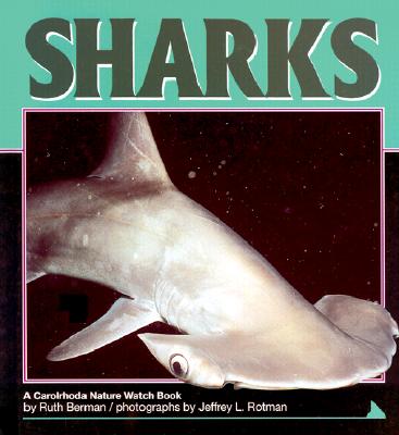 Sharks - Berman, Ruth