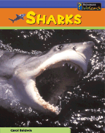 Sharks