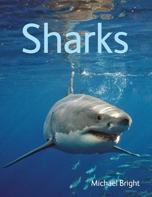 Sharks - Bright, Michael