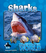 Sharks