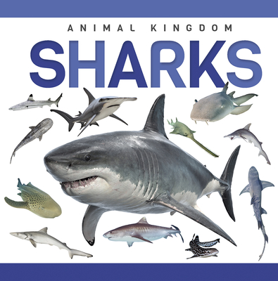 Sharks - Hall, Alex