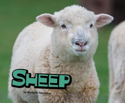 Sheep - Hasselius, Michelle