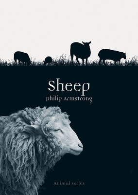 Sheep - Armstrong, Philip