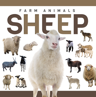 Sheep - Nodes, Eliza
