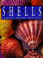 Shells: Jewels from the Sea