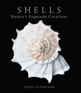 Shells: Nature's Exquisite Creations