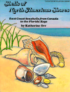 Shells North American Shores