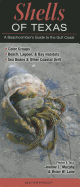 Shells of Texas: A Beachcomber's Guide