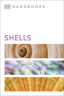 Shells - Dance, S. Peter