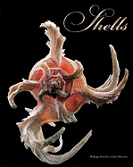 Shells