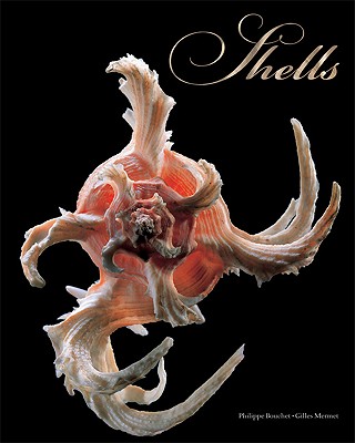 Shells - Bouchet, Philippe, and Mermet, Gilles (Photographer)
