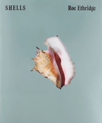 SHELLS - Ethridge, Roe