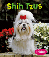 Shih Tzus
